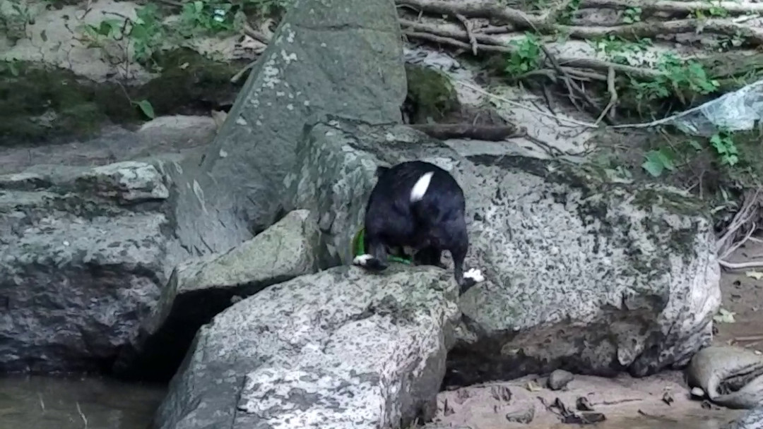 A Challenging but Necessary Retrieval